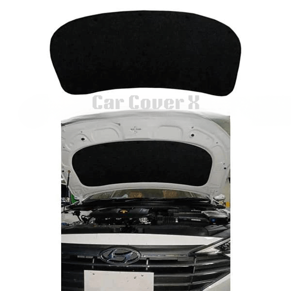 Mitsubishi Lancer Bonet Protector/Namda